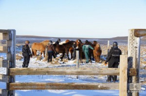 Kaldbakur Tour 2015 (3)